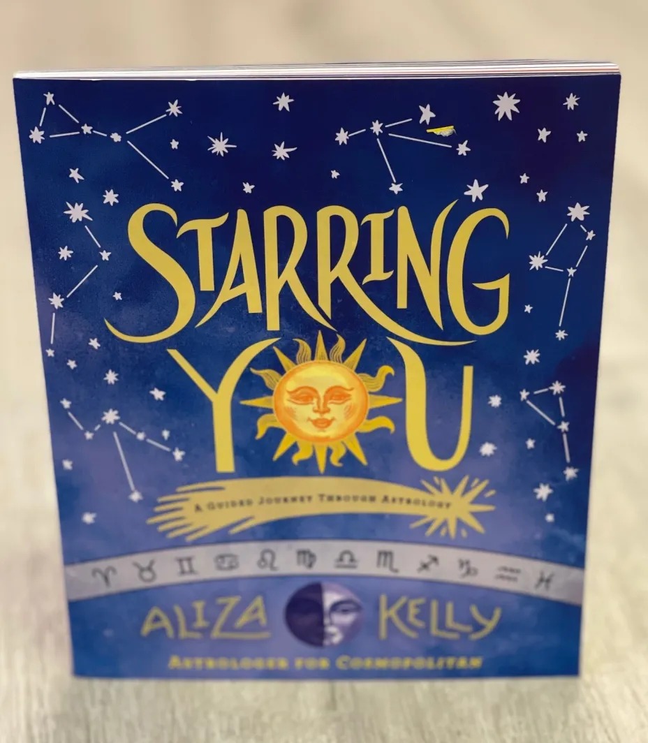 Starring You Book by Aliza Kelly is available