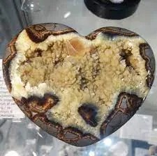 Septarian Concretian Heart at Soul Synergy Wellness