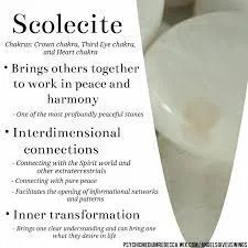 Scolecite promotes work in peace and harmony