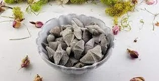 Brachiopod Fossil available at Soul Synergy Wellness
