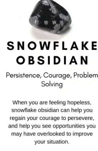 Snowflake Obsidian for persistence and courage