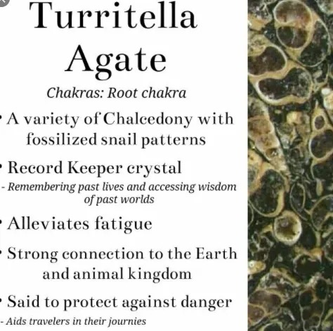 Turritella Agate helps alleviate fatigue