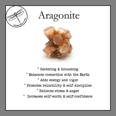 Aragonite helps promote reliability and discipline