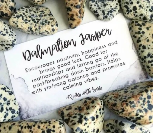 Dalmation Jasper encourages positivity and happiness