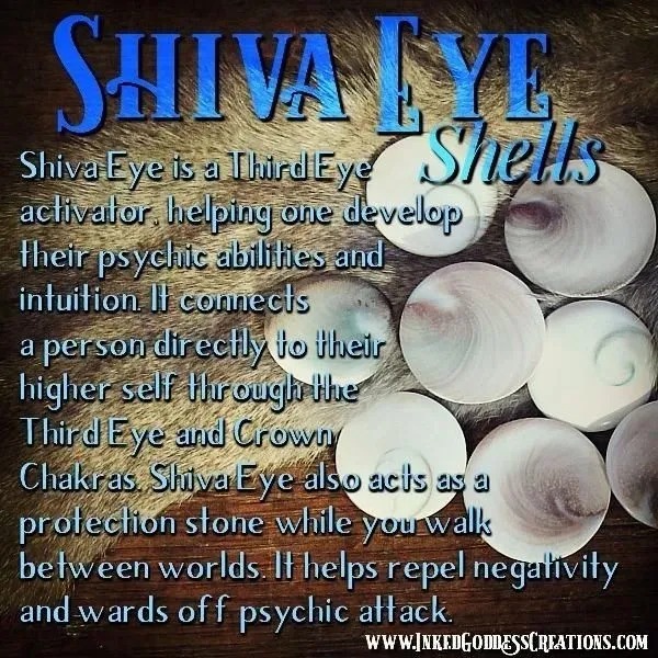 Shiva Eye Shells help develop psychic abilities